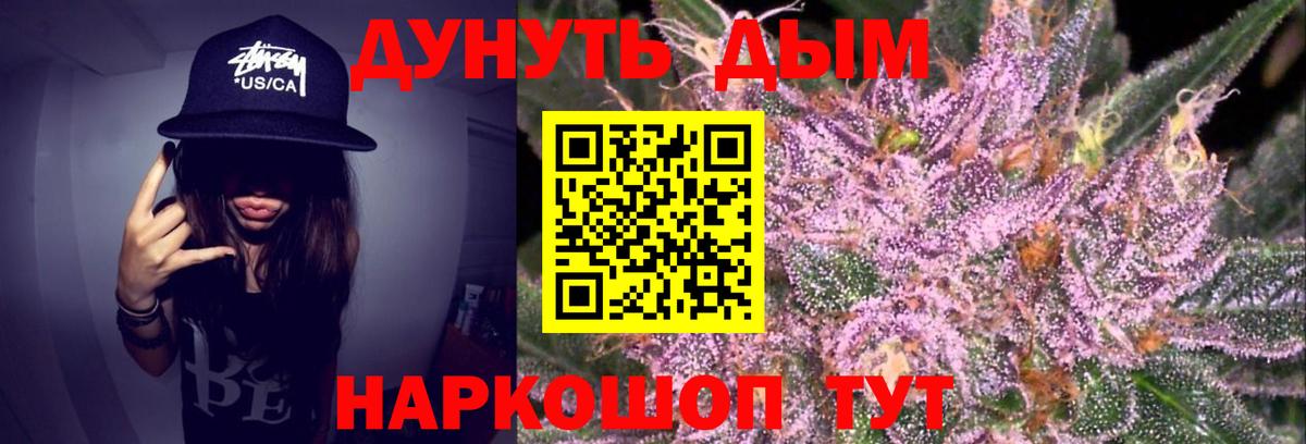 Сальск  Каннабис OG Kush  Вход с VPN  Шишки марихуана марихуана  Бошки Шишки OG Kush  Каннабис план 